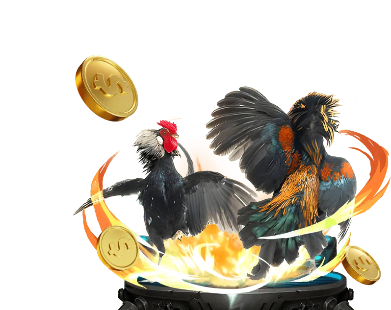 Kèo Meron trong đá gà ga567